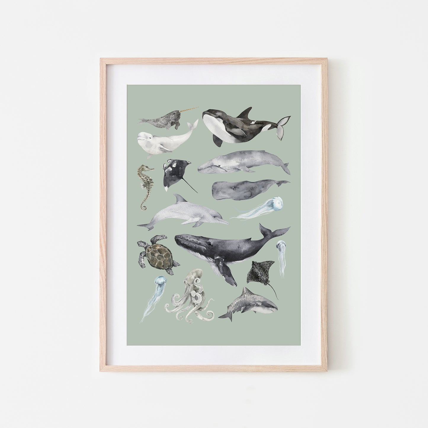Aquatic-Watercolor-Sea-Creatures-in-Mist-Green-Website-Main-Image