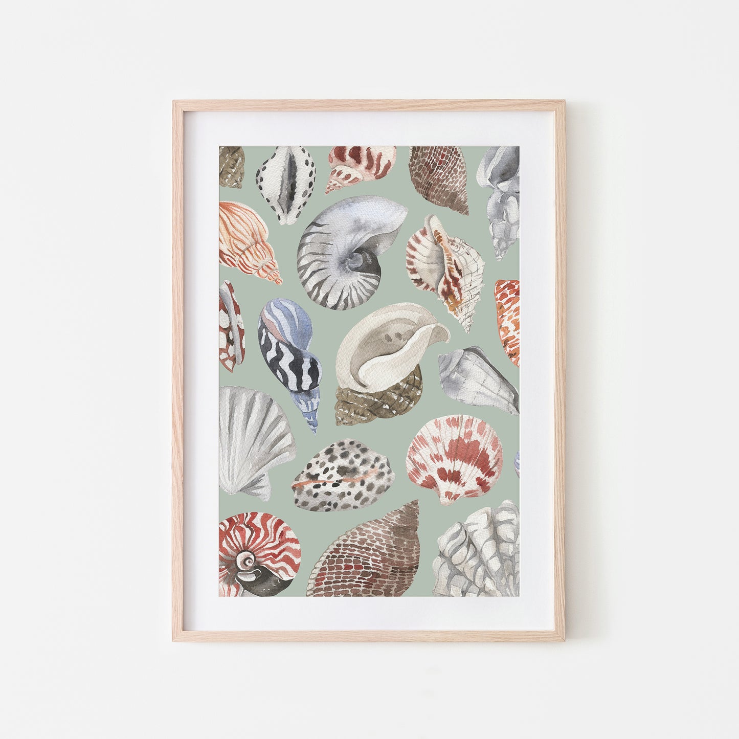 Beachcombing-Watercolor-Sea-Shells-in-Mist-Green-Website-Main-Image