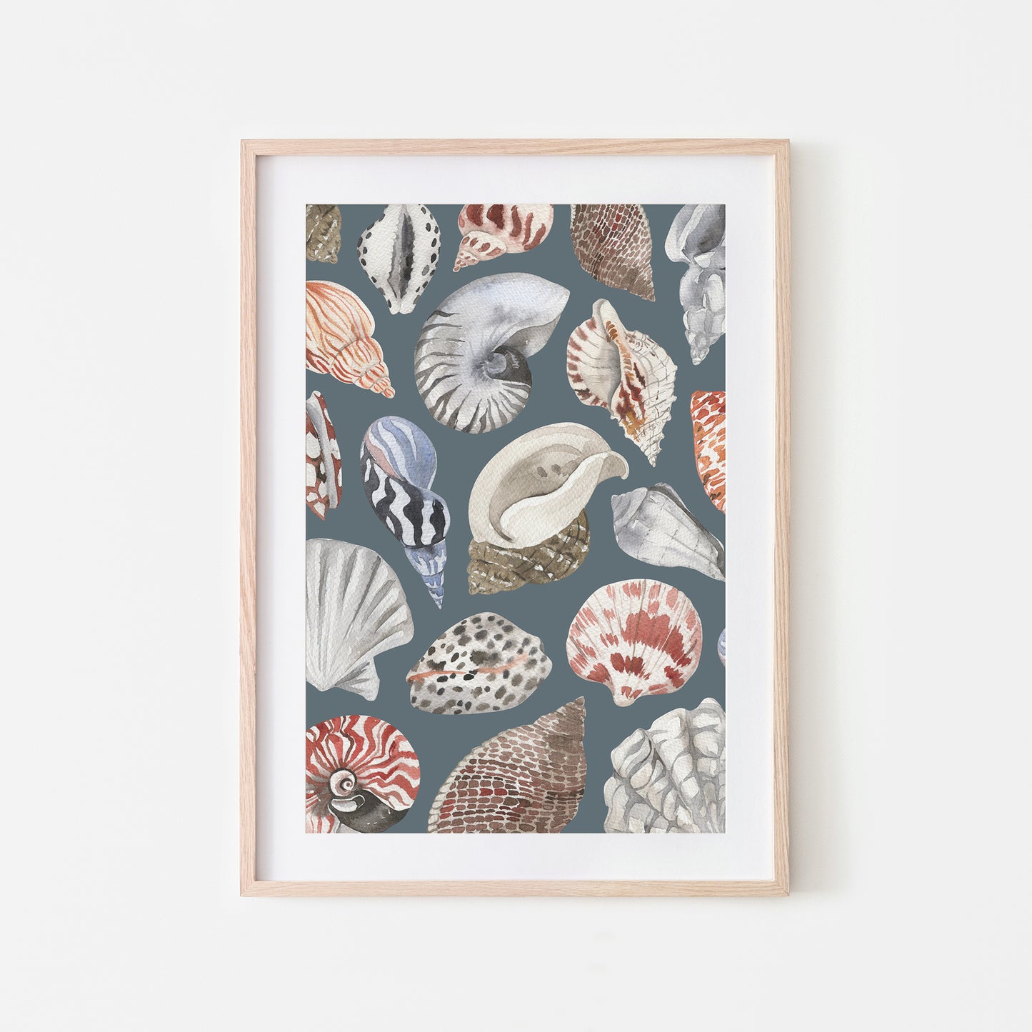 Beachcombing-Watercolor-Sea-Shells-in-Sky-Blue-Website-Main-Image