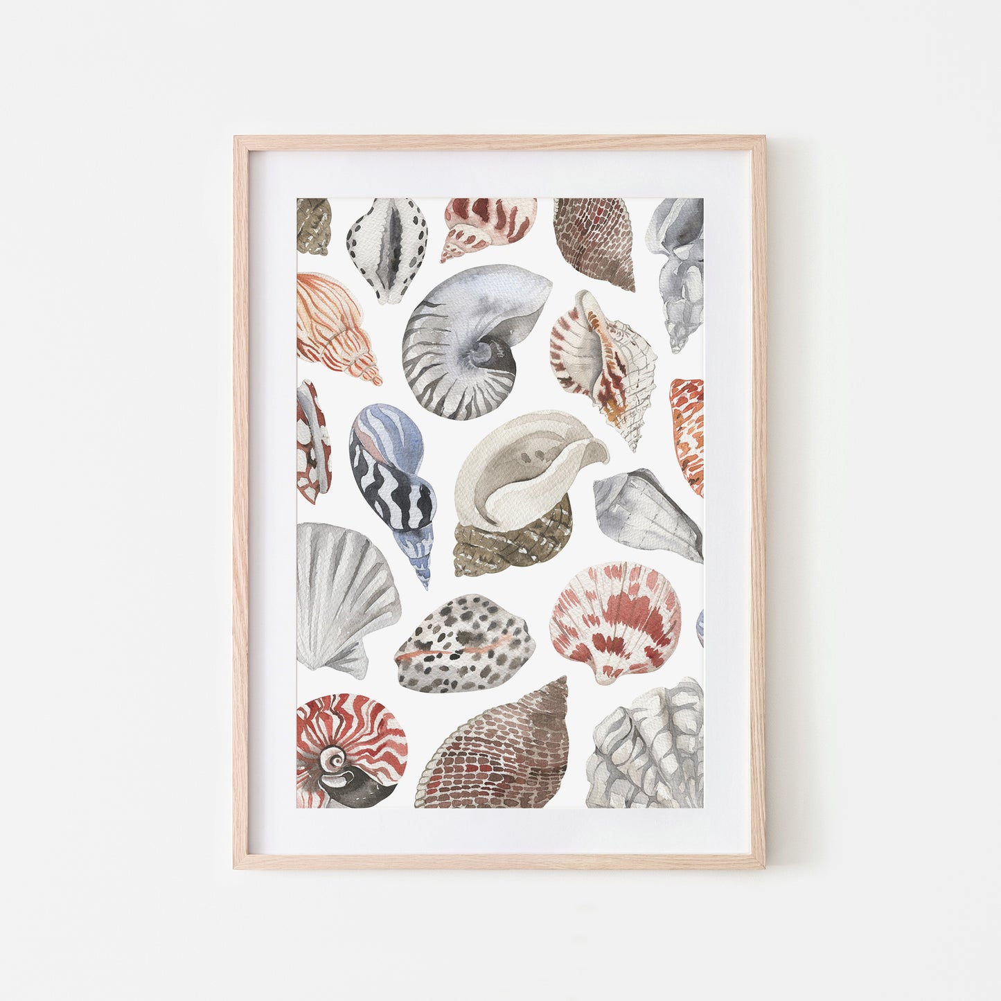Beachcombing-Watercolor-Sea-Shells-in-White-Website-Main-Image