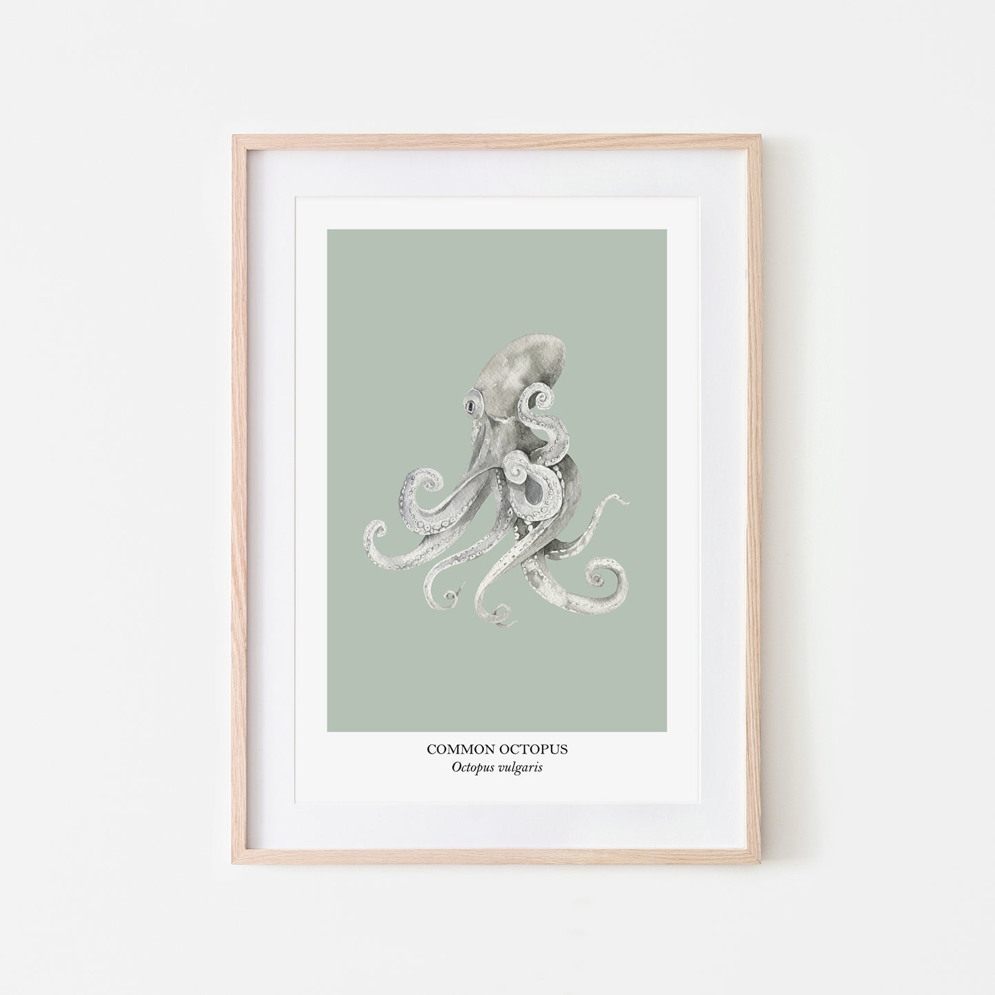 Octopus-Watercolour-Sea-Creature-Wall-Art-in-Mist-Green