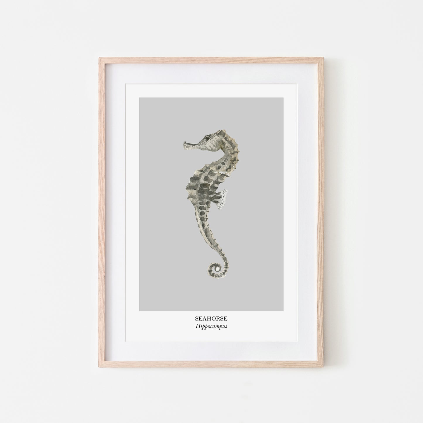 Seahorse-Watercolour-Sea-Creature-Wall-Art-in-Bone-Grey
