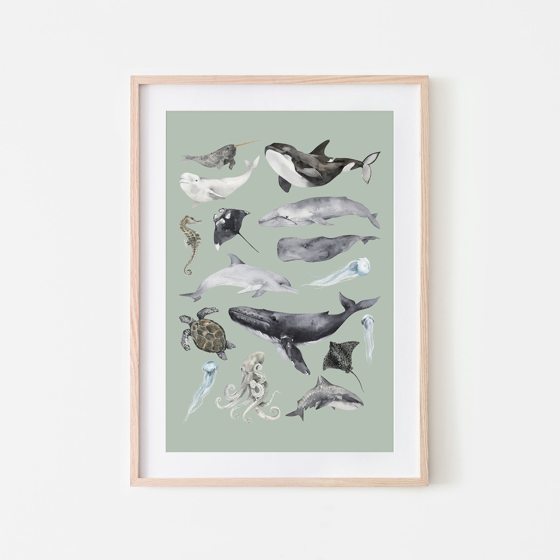 Aquatic-Watercolor-Sea-Creatures-in-Mist-Green-Website-Main-Image