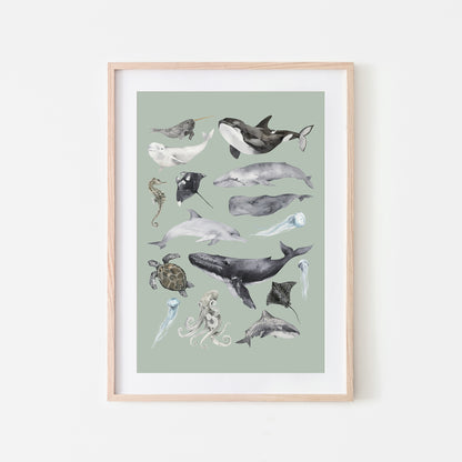 Aquatic-Watercolor-Sea-Creatures-in-Mist-Green-Website-Main-Image