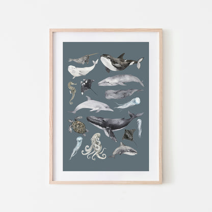 Aquatic-Watercolor-Sea-Creatures-in-Sky-Blue-Website-Main-Image