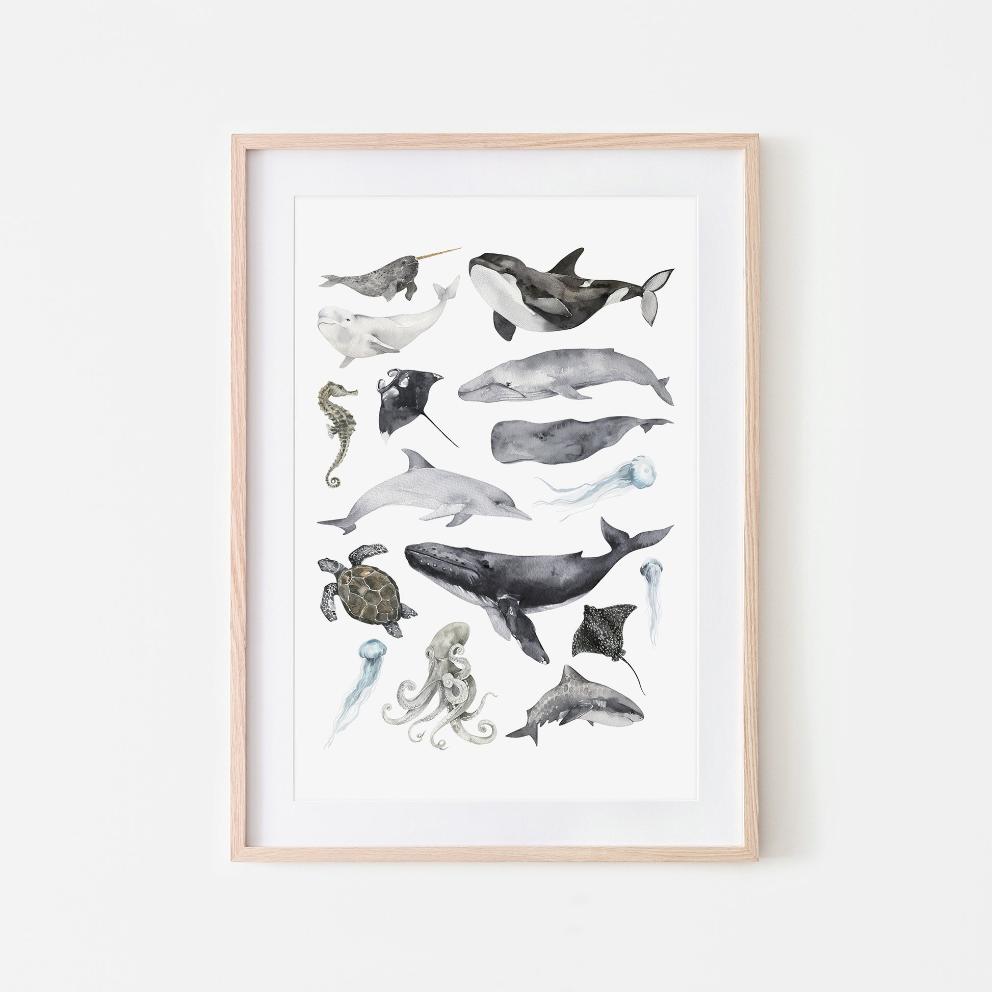 Aquatic-Watercolor-Sea-Creatures-in-White-Website-Main-Image