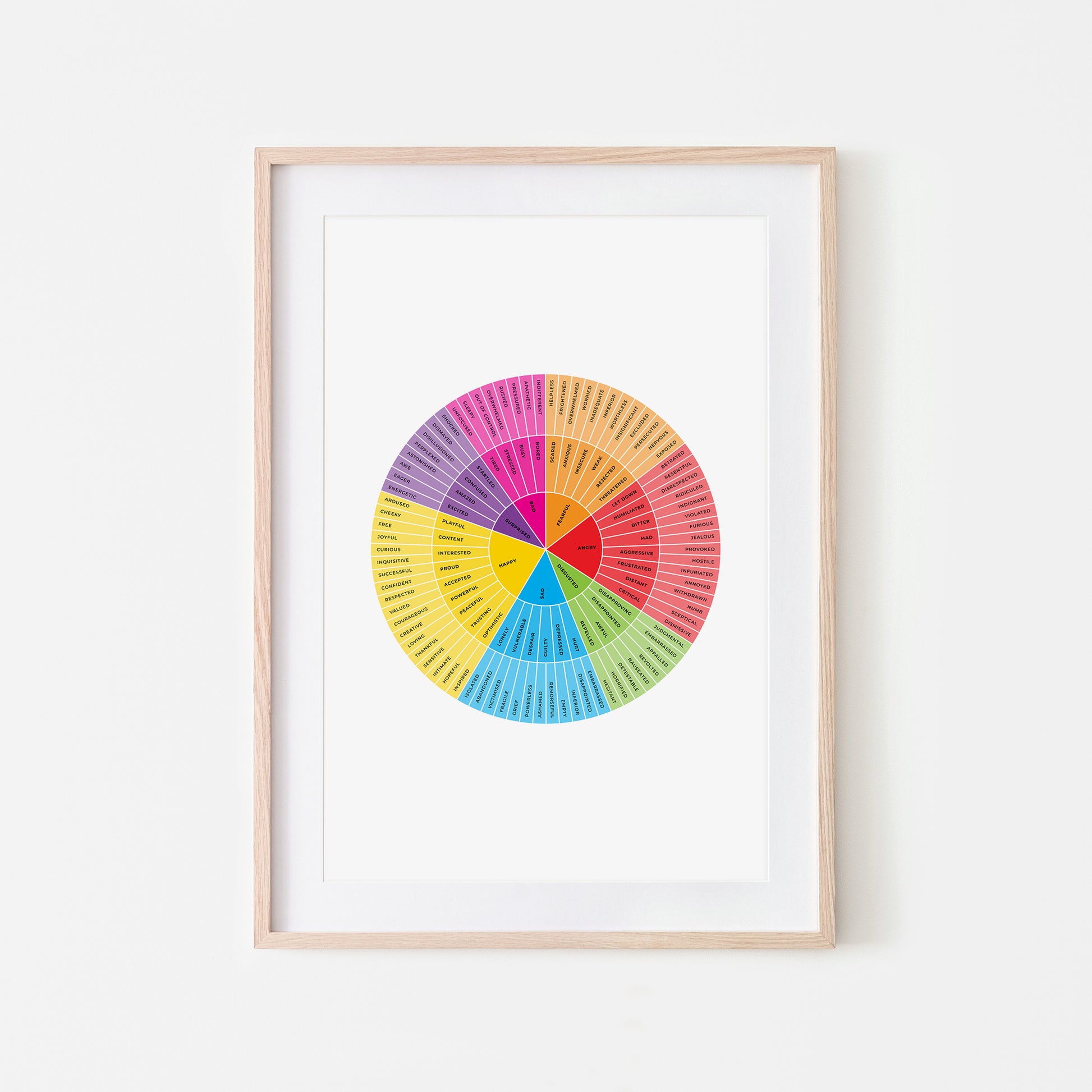 B-Feelings-Wheel-Mental-Health-Wall-Art-in-Rainbow-and-Monochrome-on-White