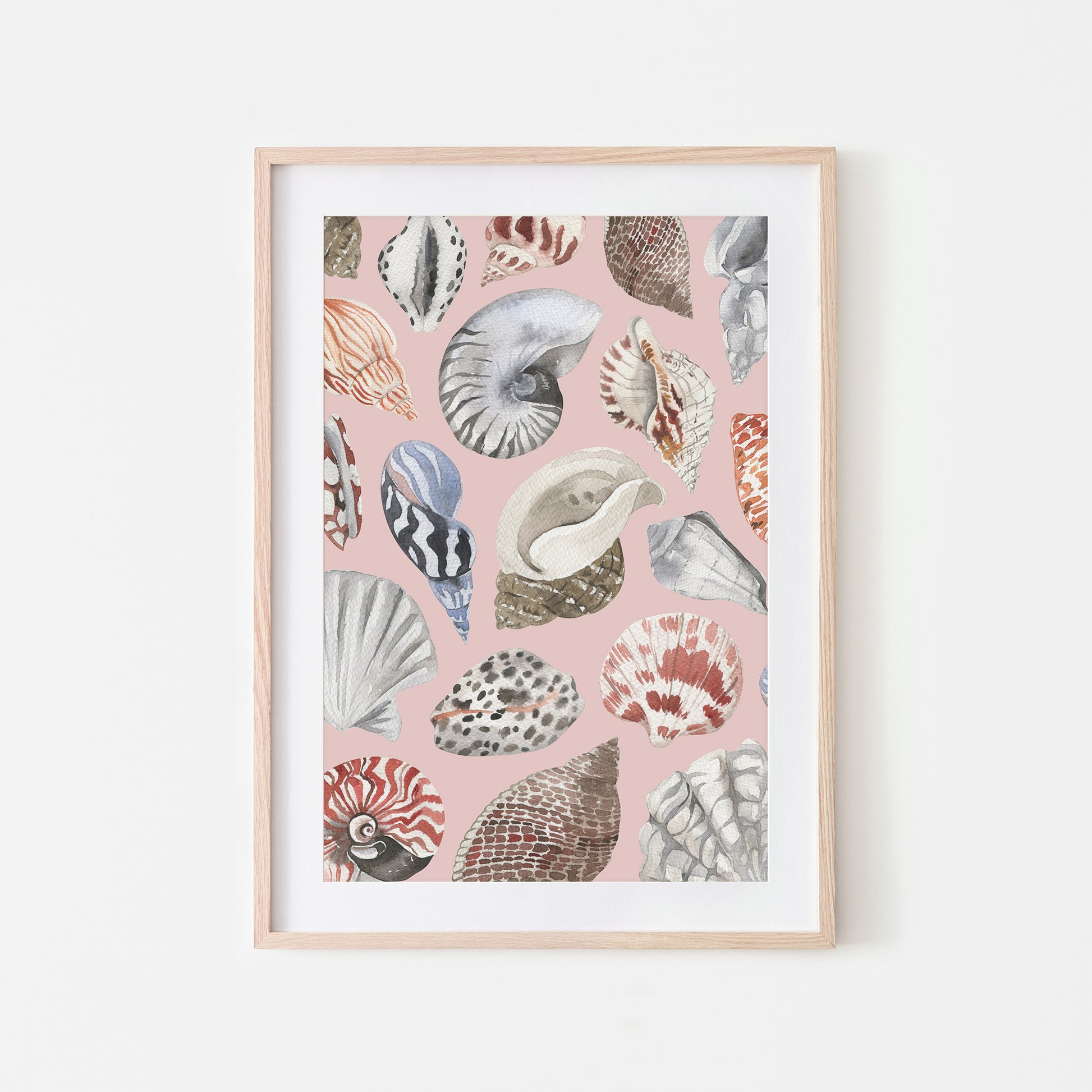 Beachcombing-Watercolor-Sea-Shells-in-Blush-Pink-Website-Main-Image