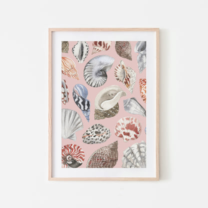 Beachcombing-Watercolor-Sea-Shells-in-Blush-Pink-Website-Main-Image