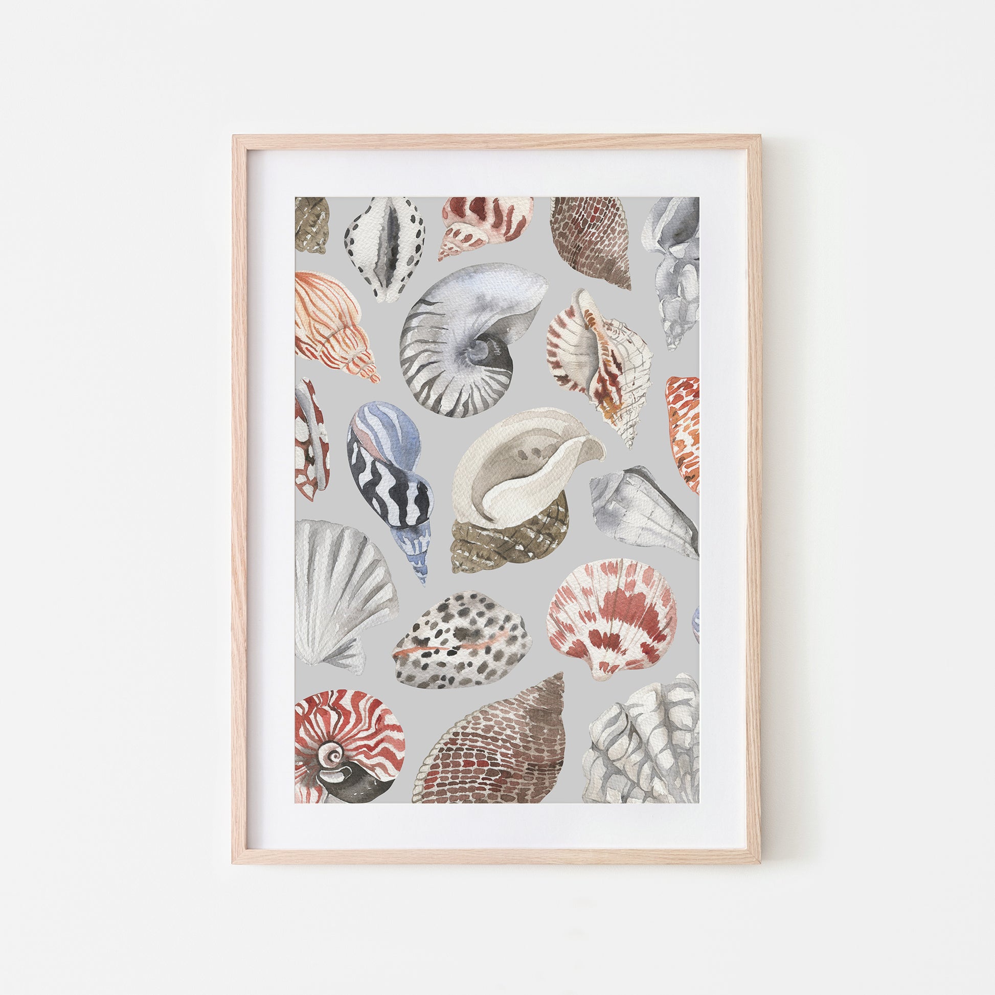 Beachcombing-Watercolor-Sea-Shells-in-Bone-Grey-Website-Main-Image