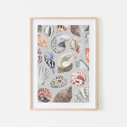 Beachcombing-Watercolor-Sea-Shells-in-Bone-Grey-Website-Main-Image