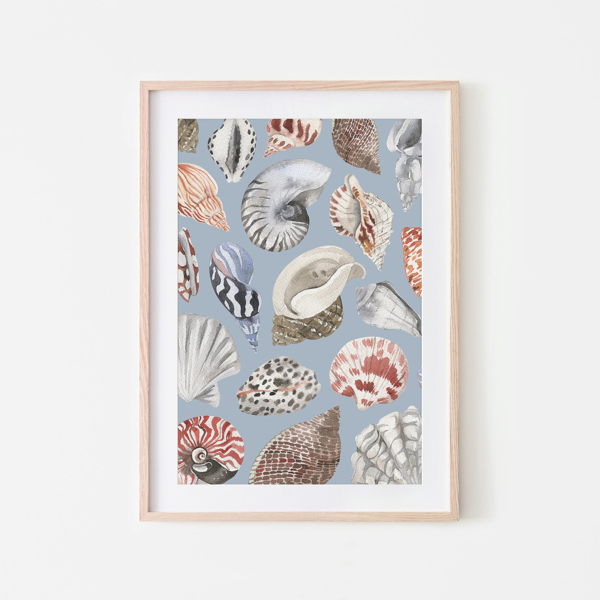 Beachcombing-Watercolor-Sea-Shells-in-Fog-Blue-Website-Main-Image