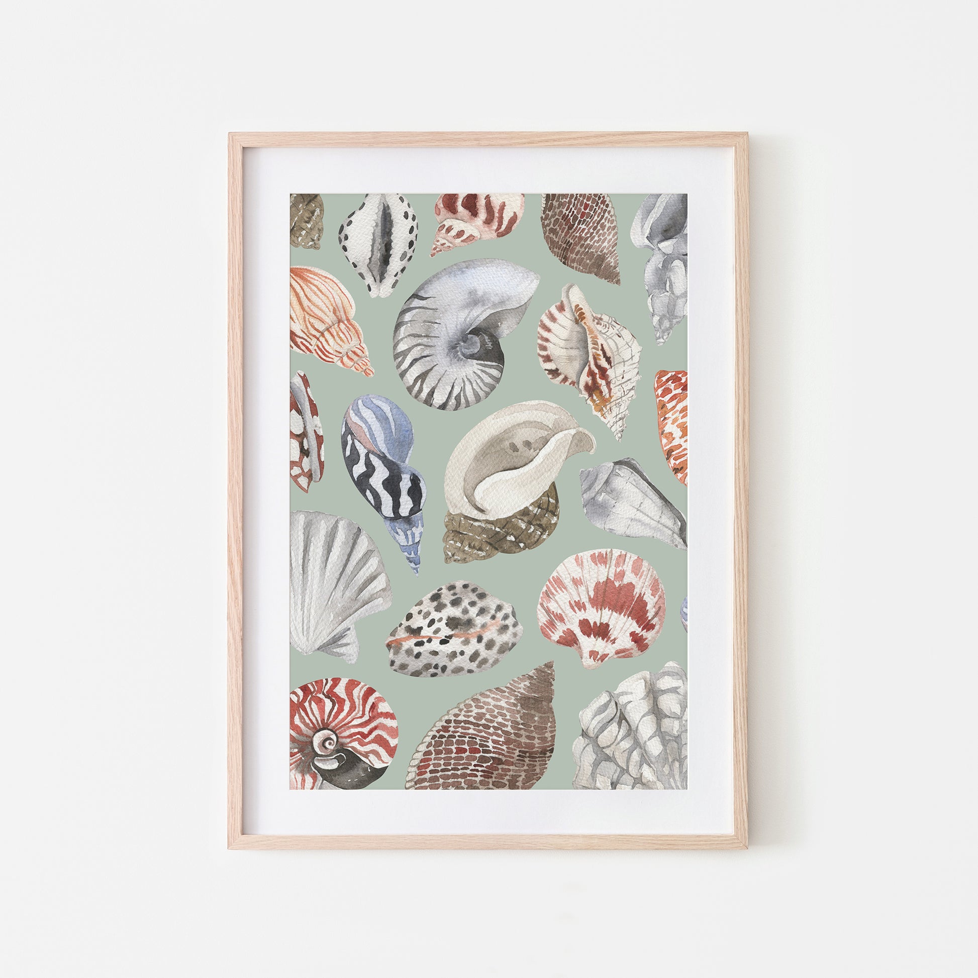 Beachcombing-Watercolor-Sea-Shells-in-Mist-Green-Website-Main-Image