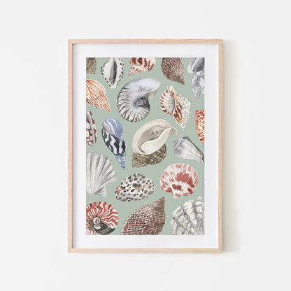 Beachcombing-Watercolor-Sea-Shells-in-Mist-Green-Website-Main-Image