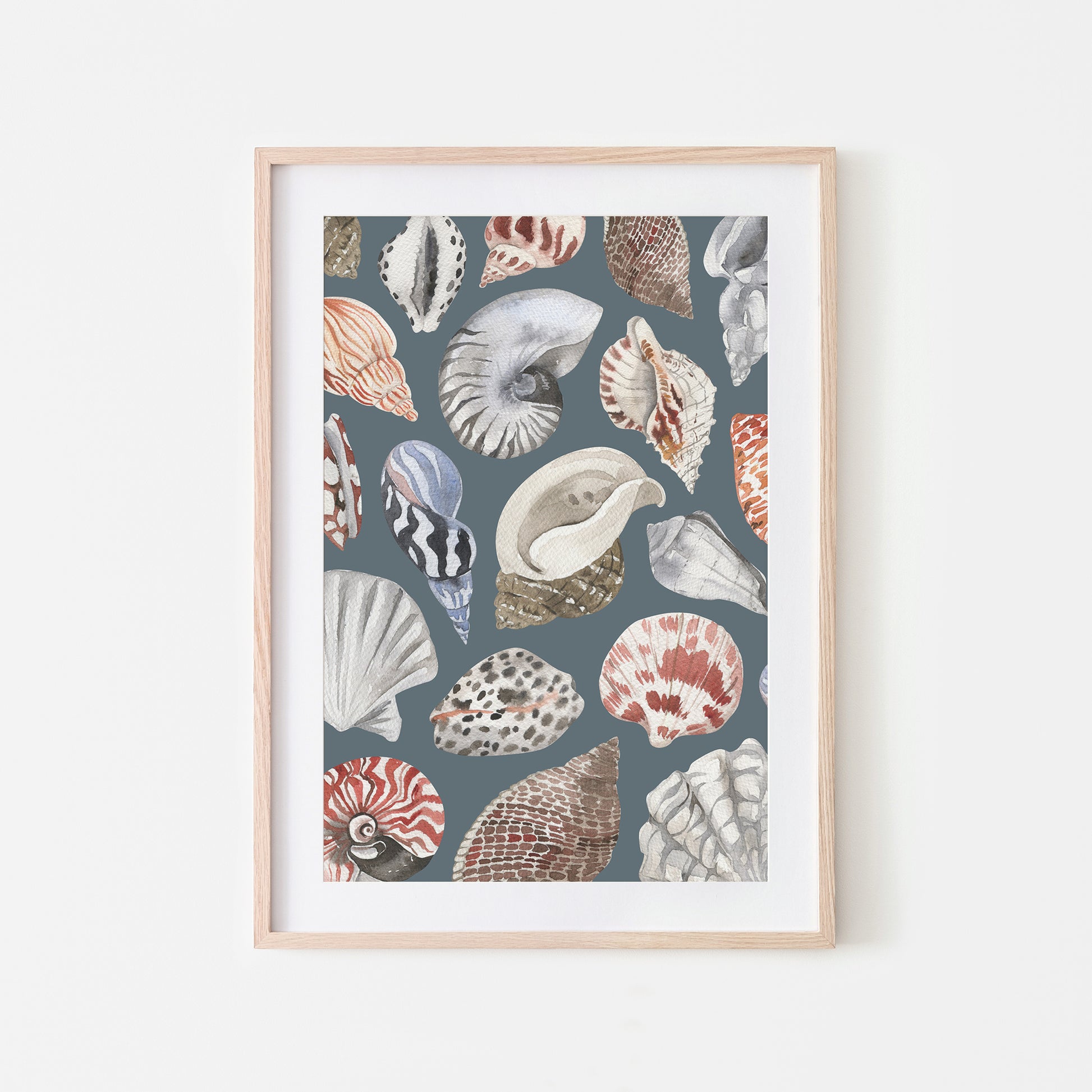 Beachcombing-Watercolor-Sea-Shells-in-Sky-Blue-Website-Main-Image