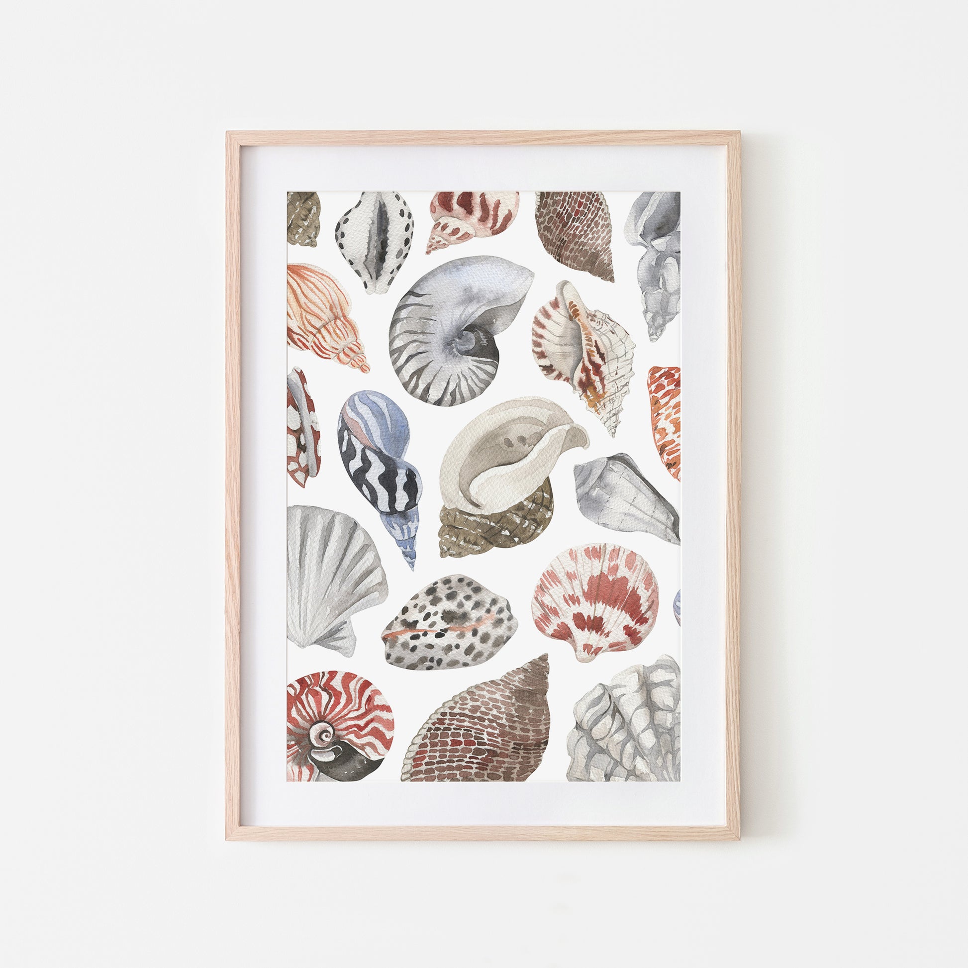 Beachcombing-Watercolor-Sea-Shells-in-White-Website-Main-Image