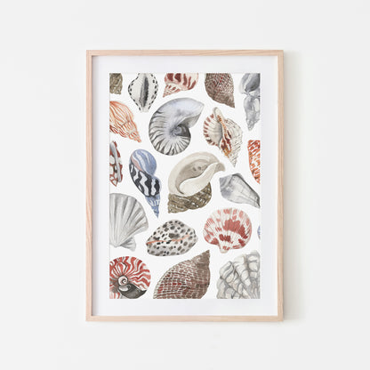 Beachcombing-Watercolor-Sea-Shells-in-White-Website-Main-Image