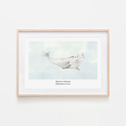 Beluga-Whale-Watercolour-Sea-Creature-Wall-Art-in-Cloudy