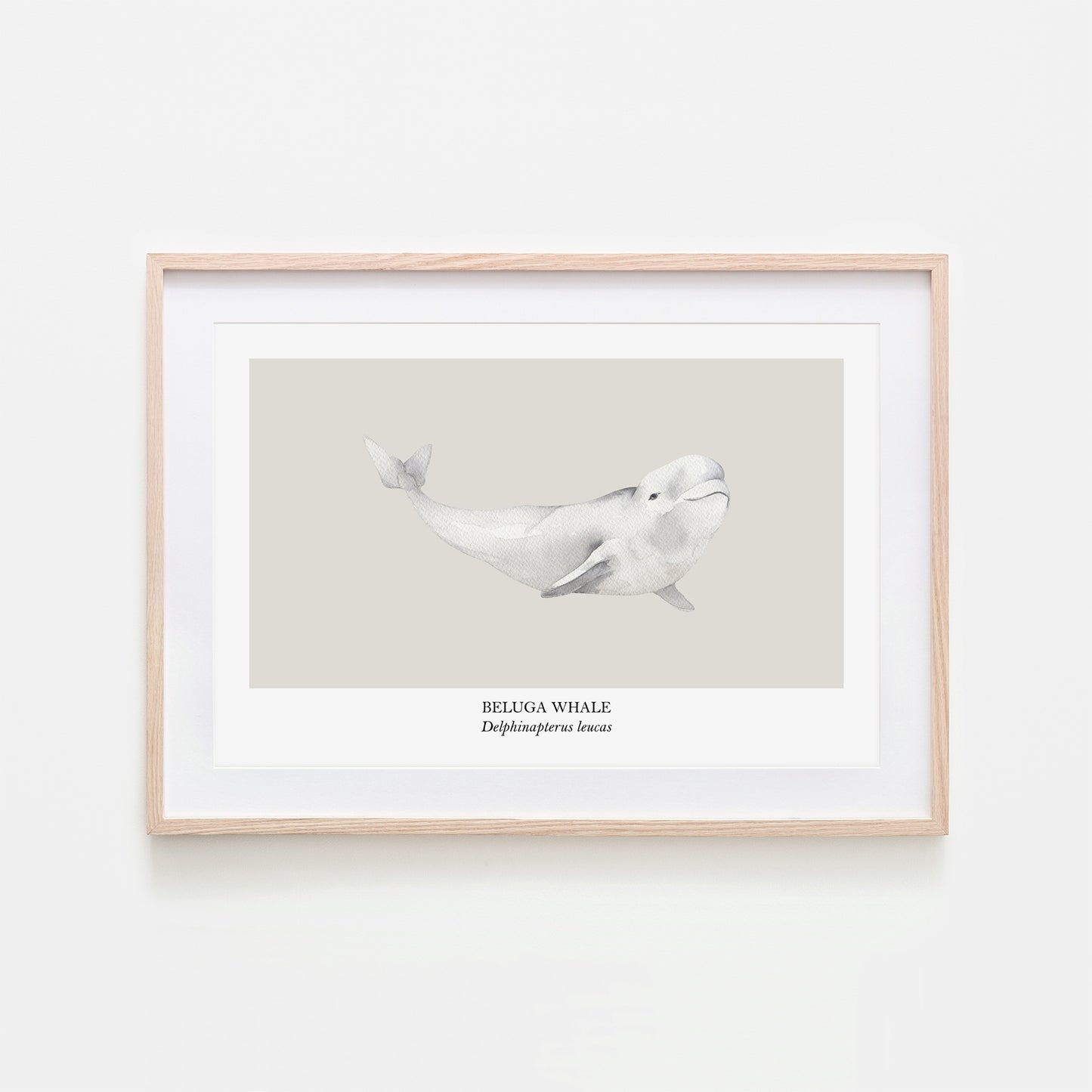 Beluga-Whale-Watercolour-Sea-Creature-Wall-Art-in-Linen