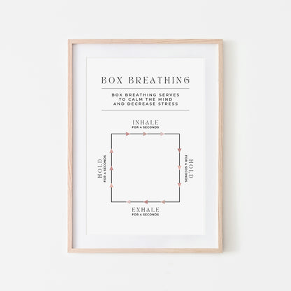 Box-Breathing-Breathing-Technique-in-Peony-on-White