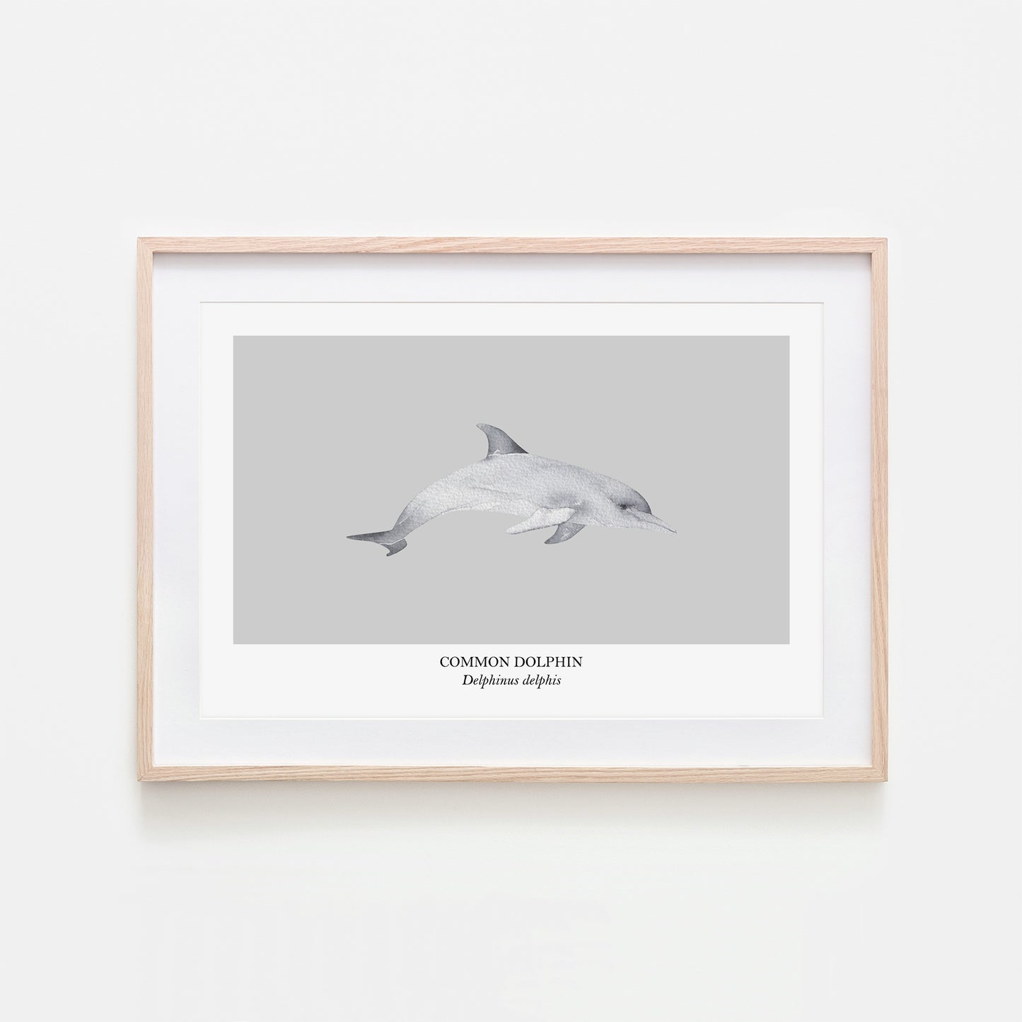 Dolphin-Watercolour-Sea-Creature-Wall-Art-in-Bone-Grey