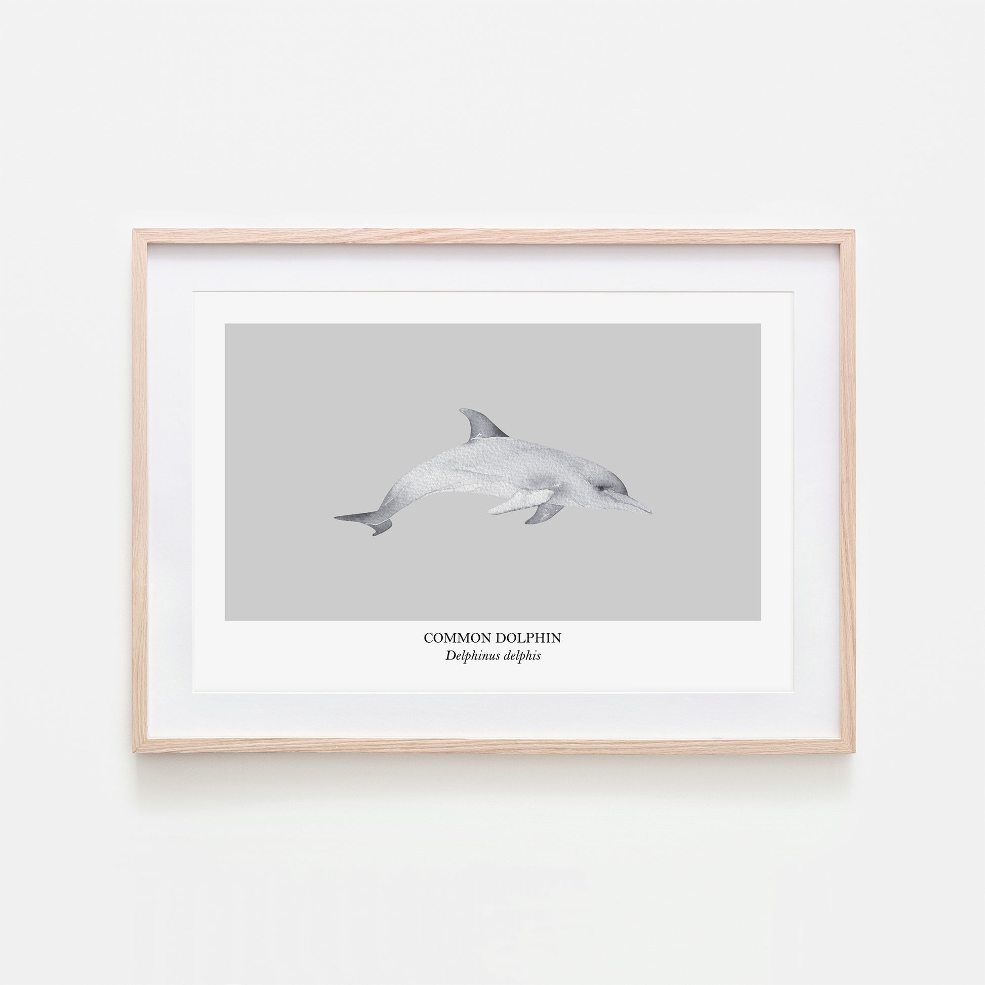 Dolphin-Watercolour-Sea-Creature-Wall-Art-in-Bone-Grey