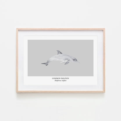 Dolphin-Watercolour-Sea-Creature-Wall-Art-in-Bone-Grey