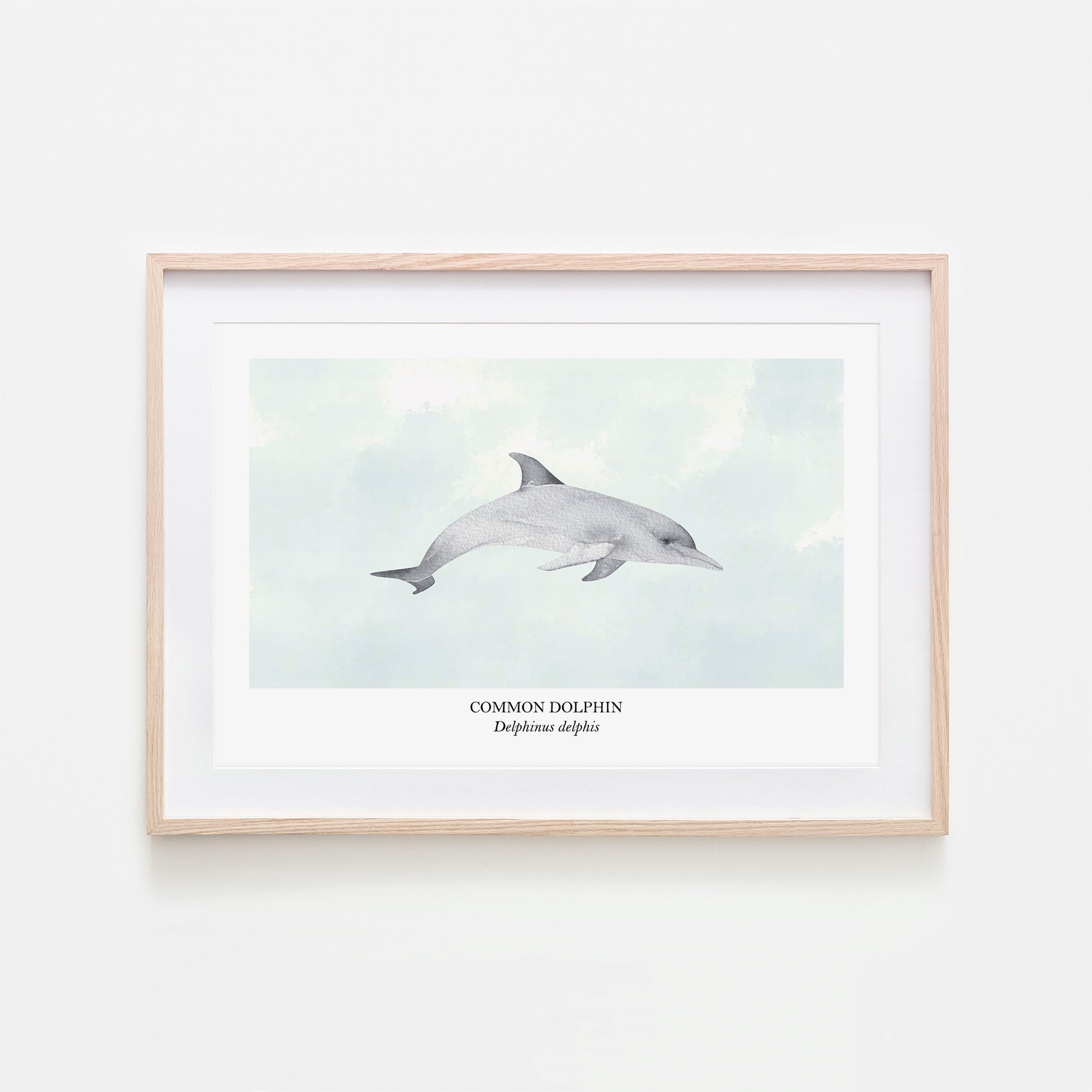 Dolphin-Watercolour-Sea-Creature-Wall-Art-in-Cloudy