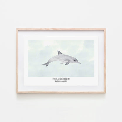 Dolphin-Watercolour-Sea-Creature-Wall-Art-in-Cloudy
