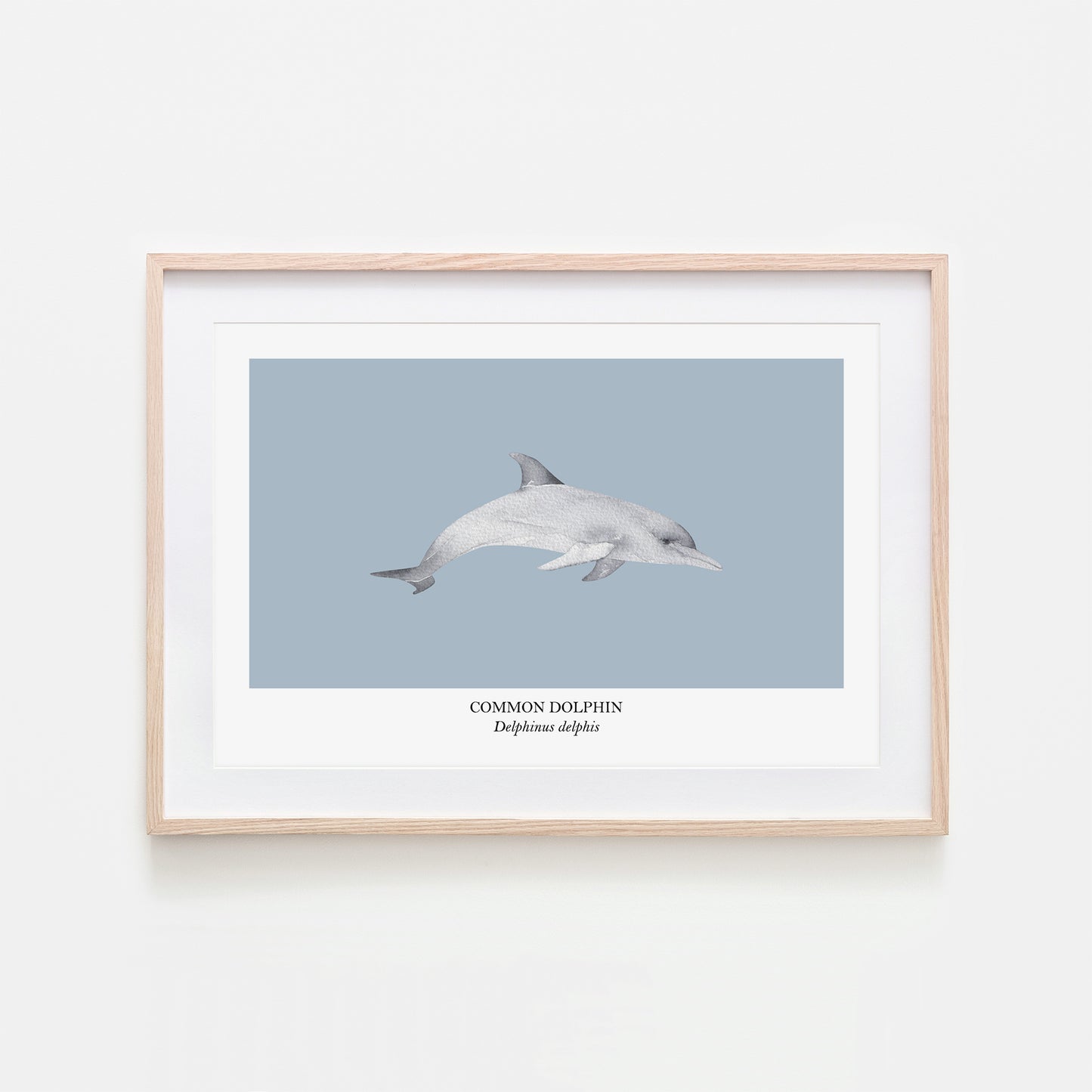 Dolphin-Watercolour-Sea-Creature-Wall-Art-in-Fog-Blue