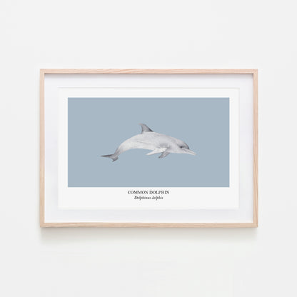 Dolphin-Watercolour-Sea-Creature-Wall-Art-in-Fog-Blue
