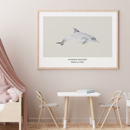 Dolphin-Watercolour-Sea-Creature-Wall-Art-in-Linen-Website-Main-Image