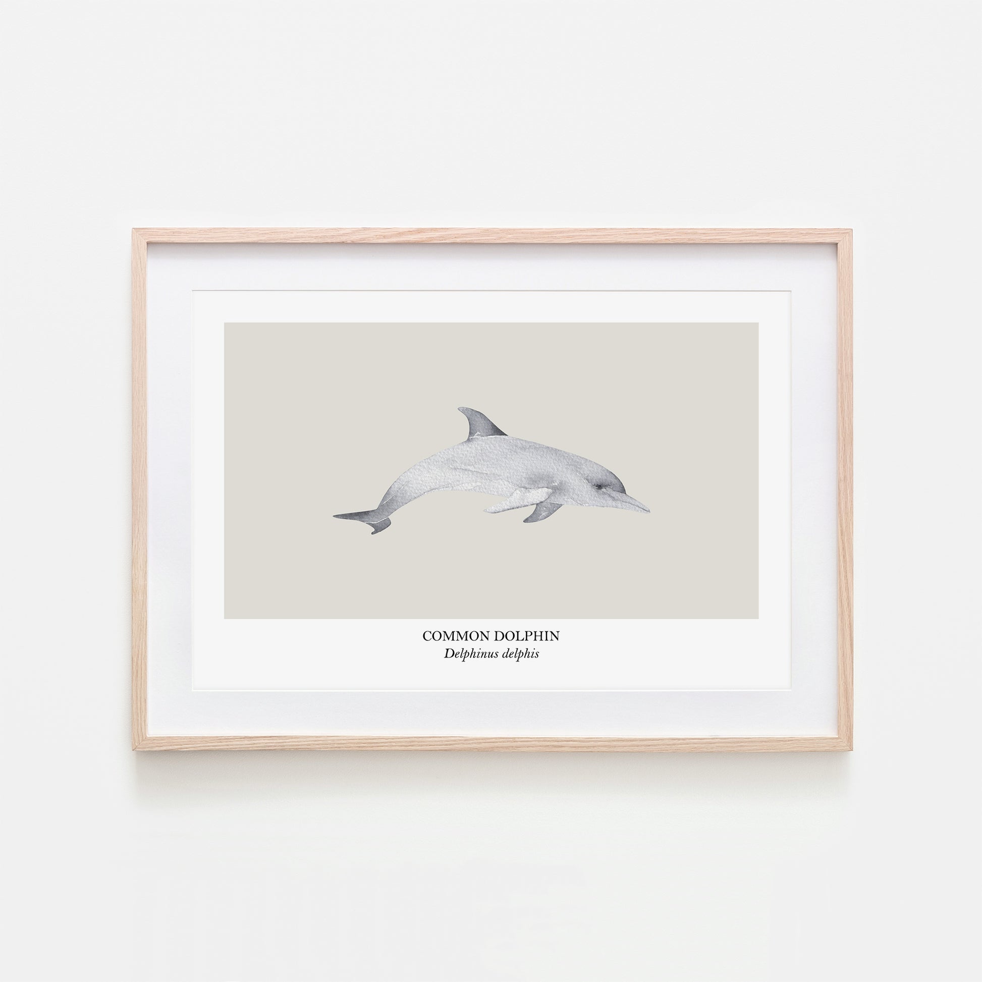 Dolphin-Watercolour-Sea-Creature-Wall-Art-in-Linen
