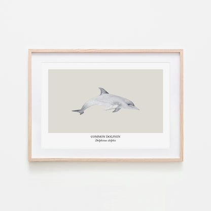Dolphin-Watercolour-Sea-Creature-Wall-Art-in-Linen