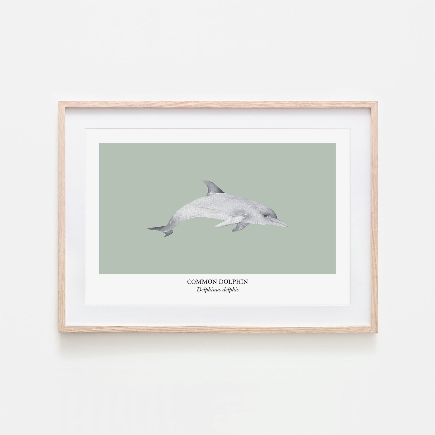 Dolphin-Watercolour-Sea-Creature-Wall-Art-in-Mist-Green