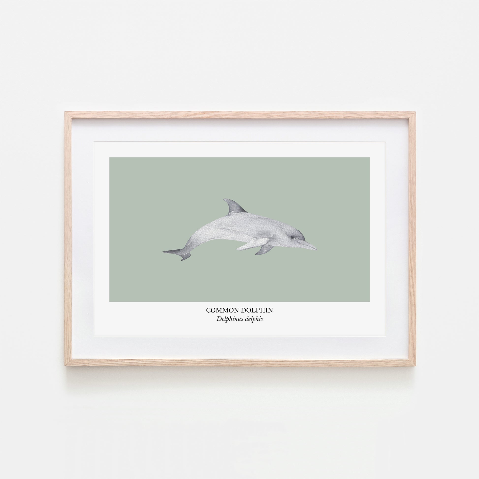 Dolphin-Watercolour-Sea-Creature-Wall-Art-in-Mist-Green