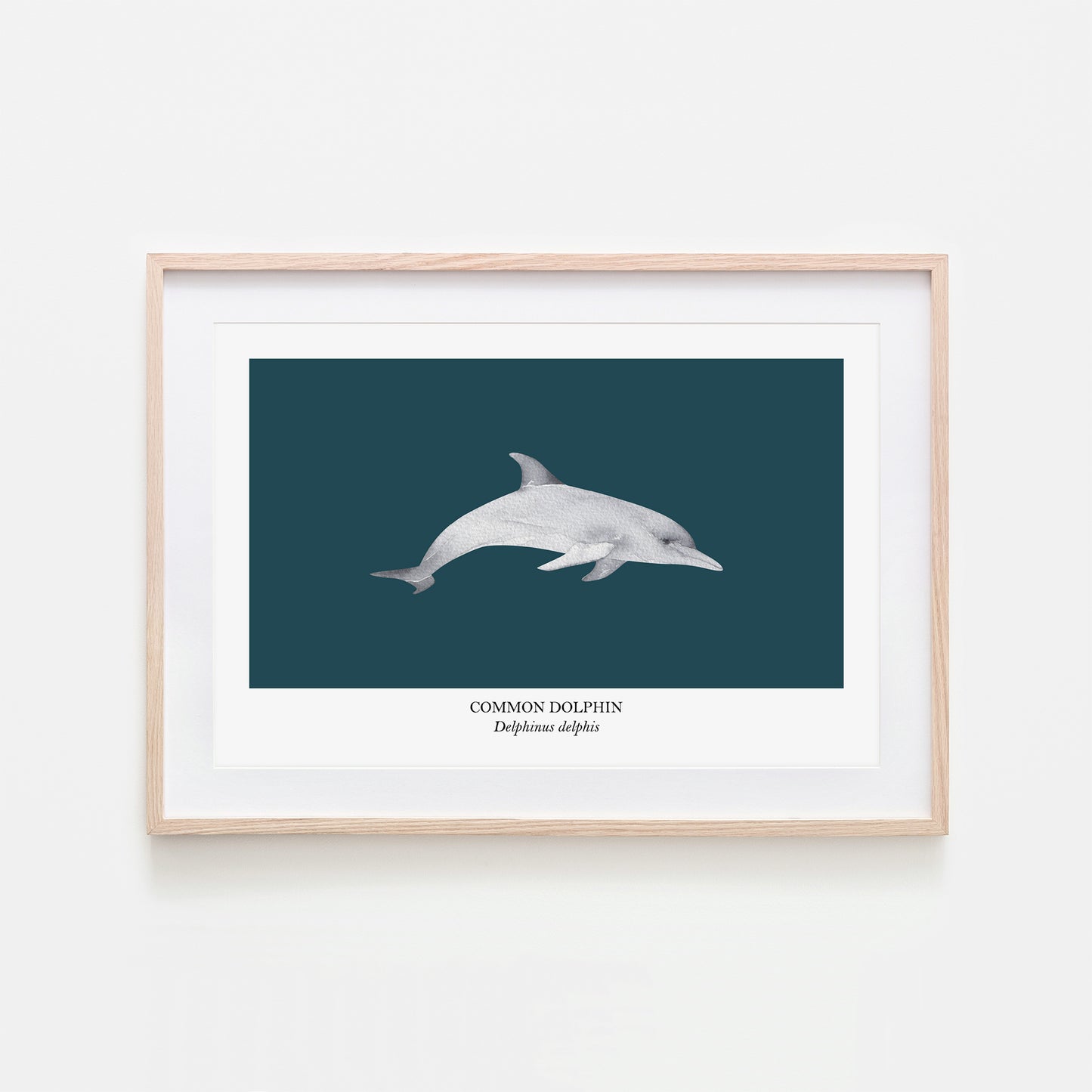 Dolphin-Watercolour-Sea-Creature-Wall-Art-in-Navy-Blue