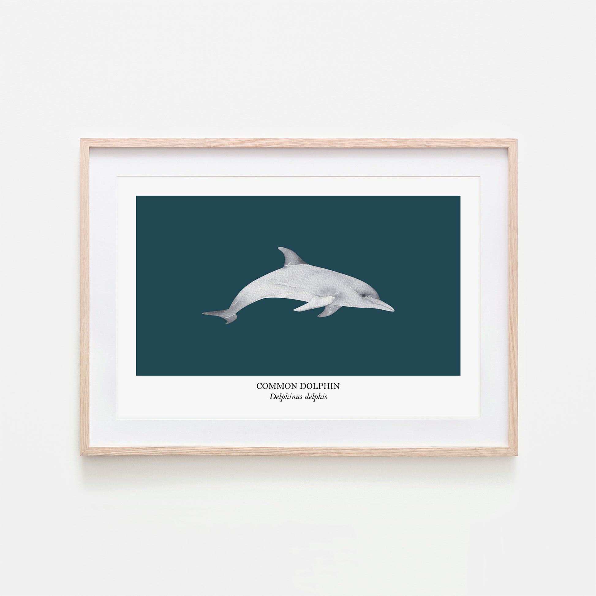 Dolphin-Watercolour-Sea-Creature-Wall-Art-in-Navy-Blue