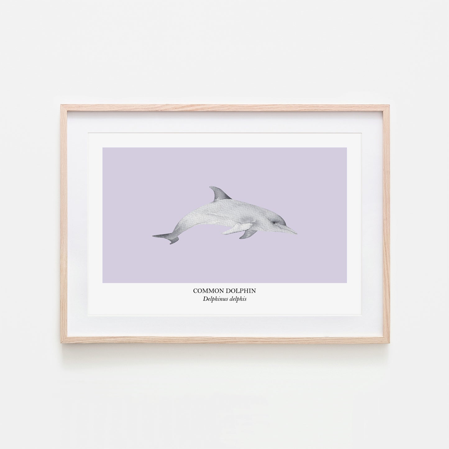 Dolphin-Watercolour-Sea-Creature-Wall-Art-in-Peri-Purple