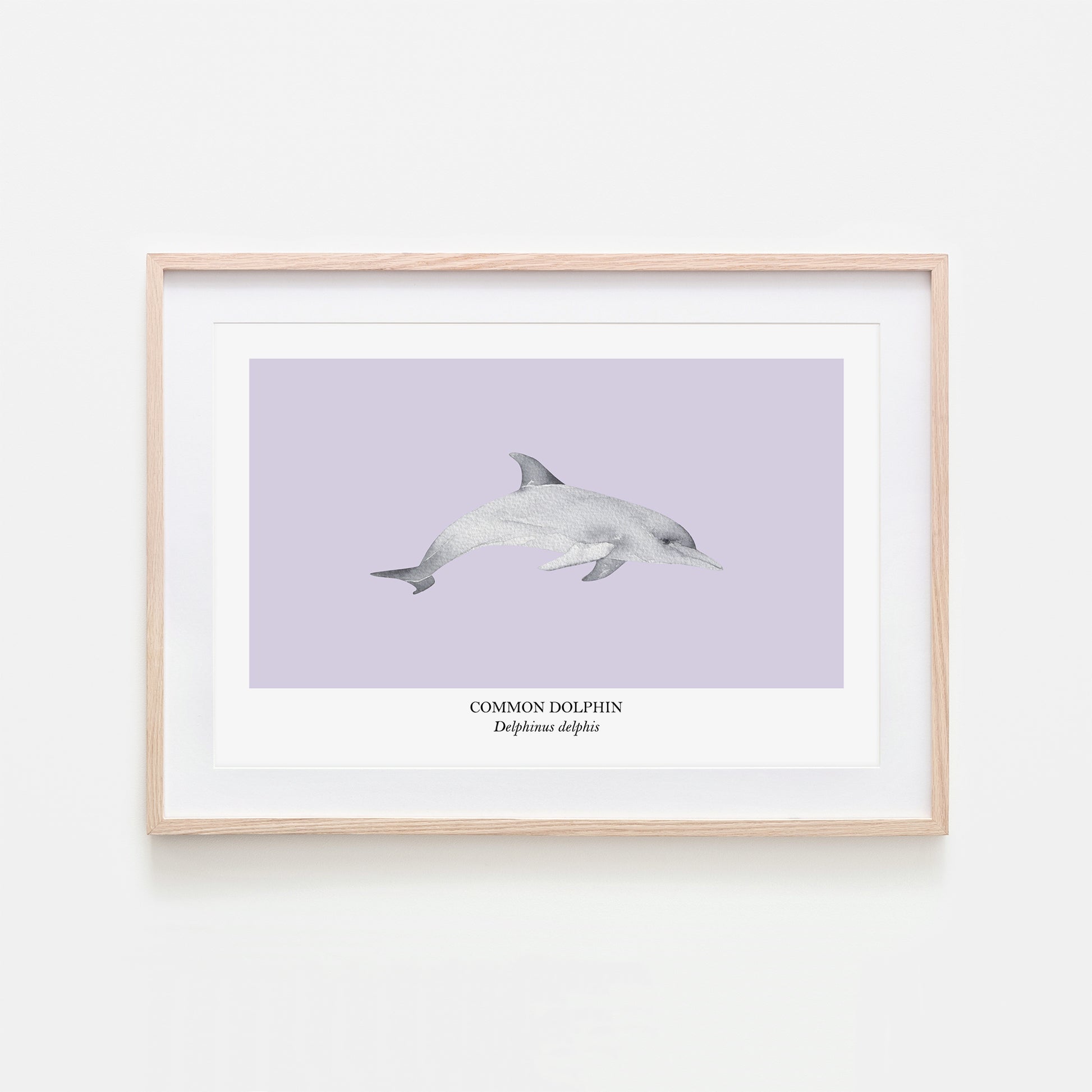 Dolphin-Watercolour-Sea-Creature-Wall-Art-in-Peri-Purple
