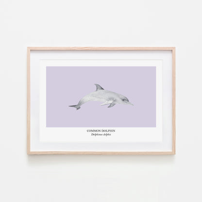 Dolphin-Watercolour-Sea-Creature-Wall-Art-in-Peri-Purple