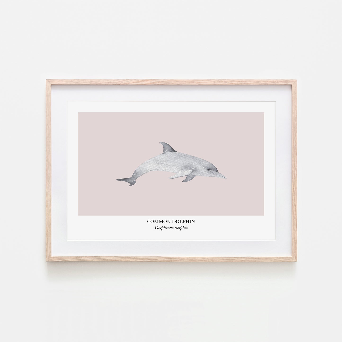 Dolphin-Watercolour-Sea-Creature-Wall-Art-in-Pointe-Pink