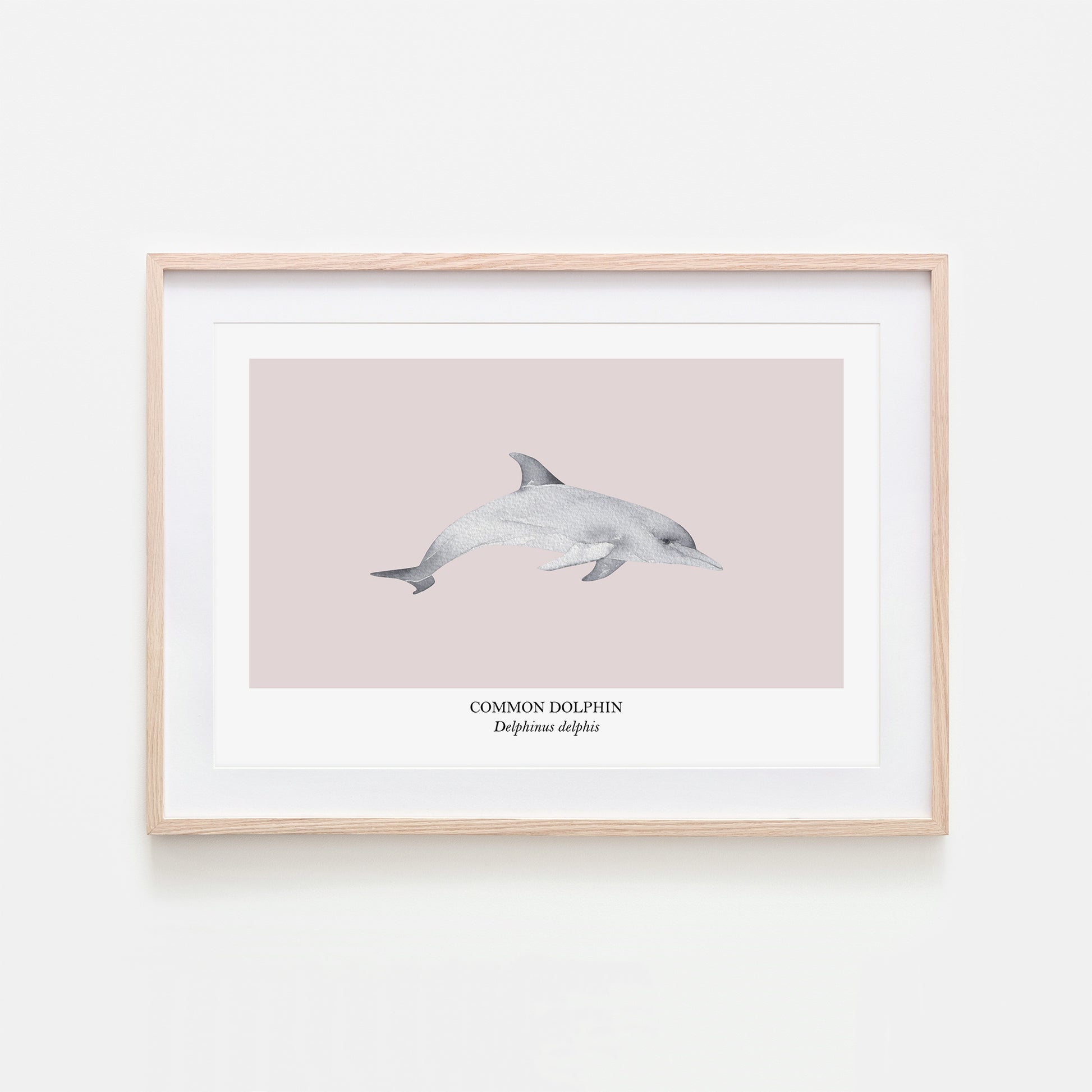 Dolphin-Watercolour-Sea-Creature-Wall-Art-in-Pointe-Pink
