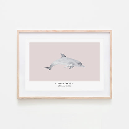 Dolphin-Watercolour-Sea-Creature-Wall-Art-in-Pointe-Pink