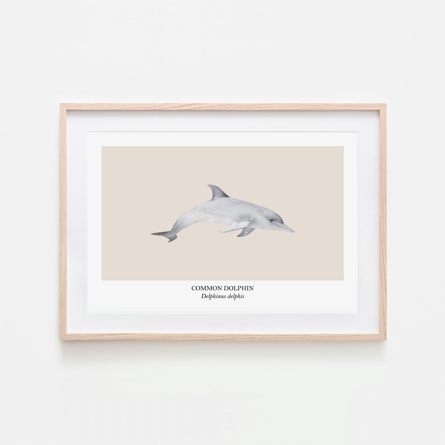 Dolphin-Watercolour-Sea-Creature-Wall-Art-in-Sand
