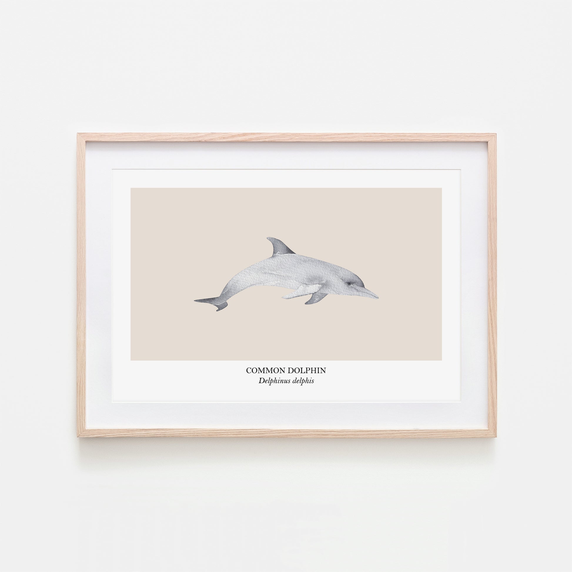 Dolphin-Watercolour-Sea-Creature-Wall-Art-in-Sand