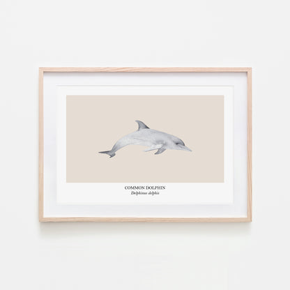 Dolphin-Watercolour-Sea-Creature-Wall-Art-in-Sand