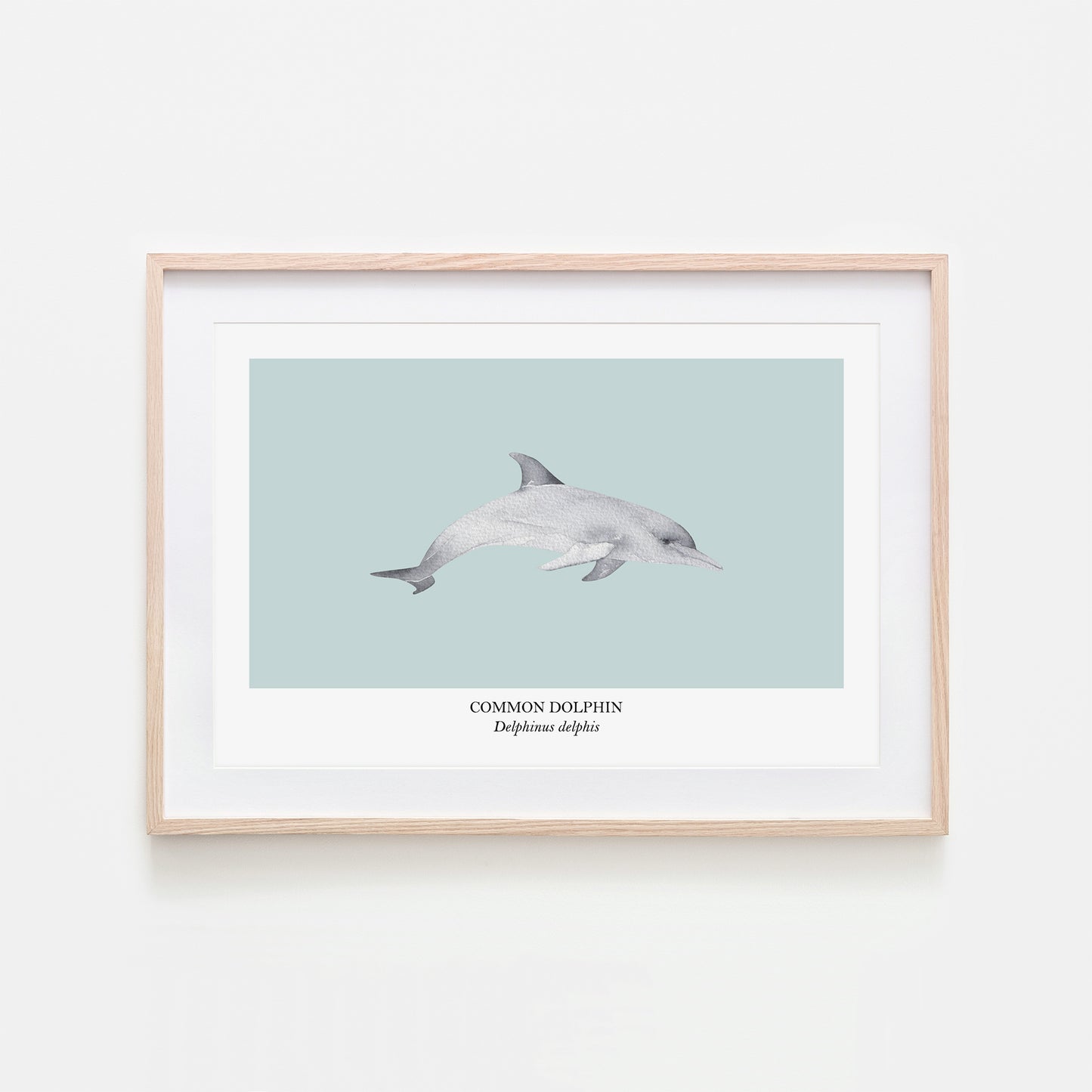 Dolphin-Watercolour-Sea-Creature-Wall-Art-in-Shell-Blue