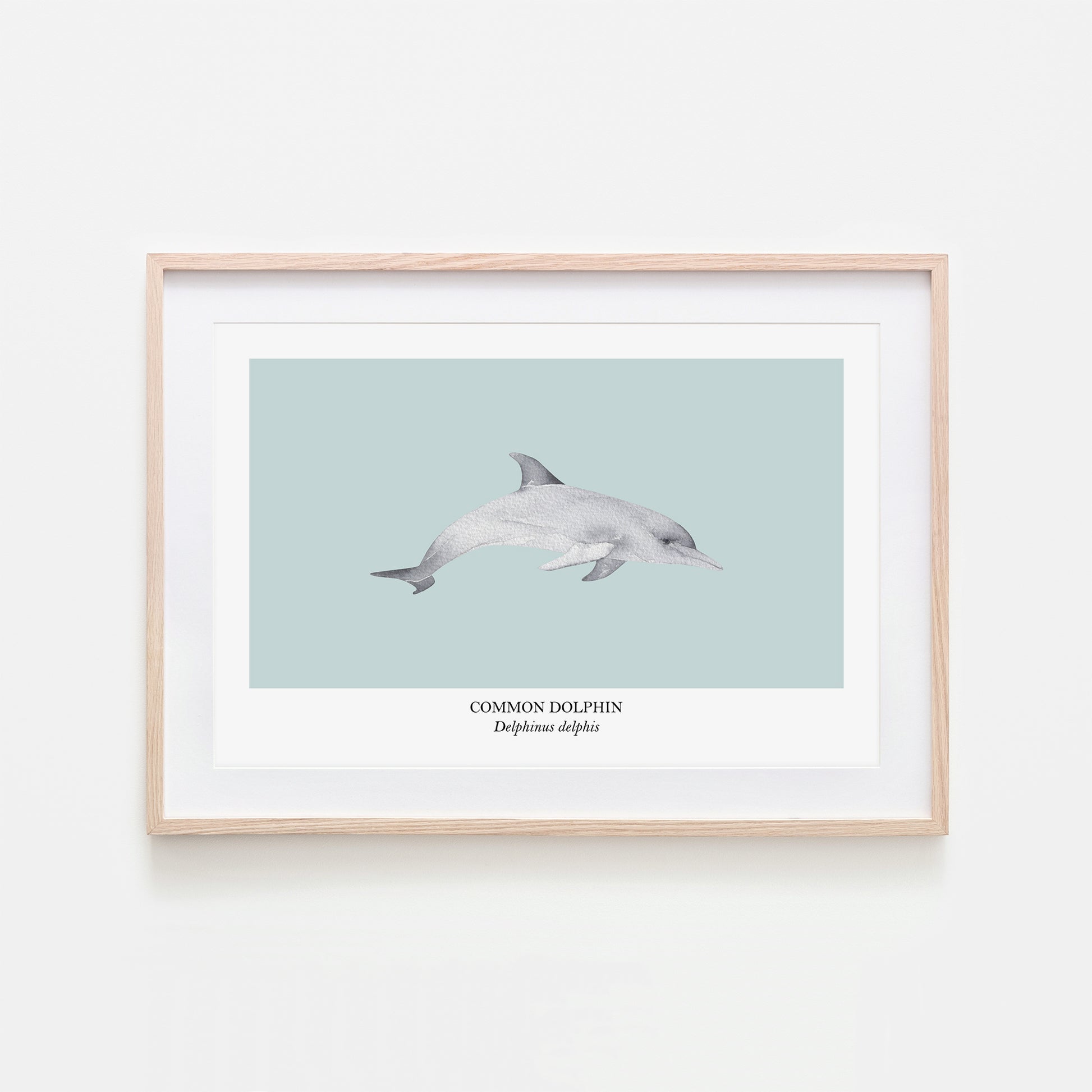 Dolphin-Watercolour-Sea-Creature-Wall-Art-in-Shell-Blue