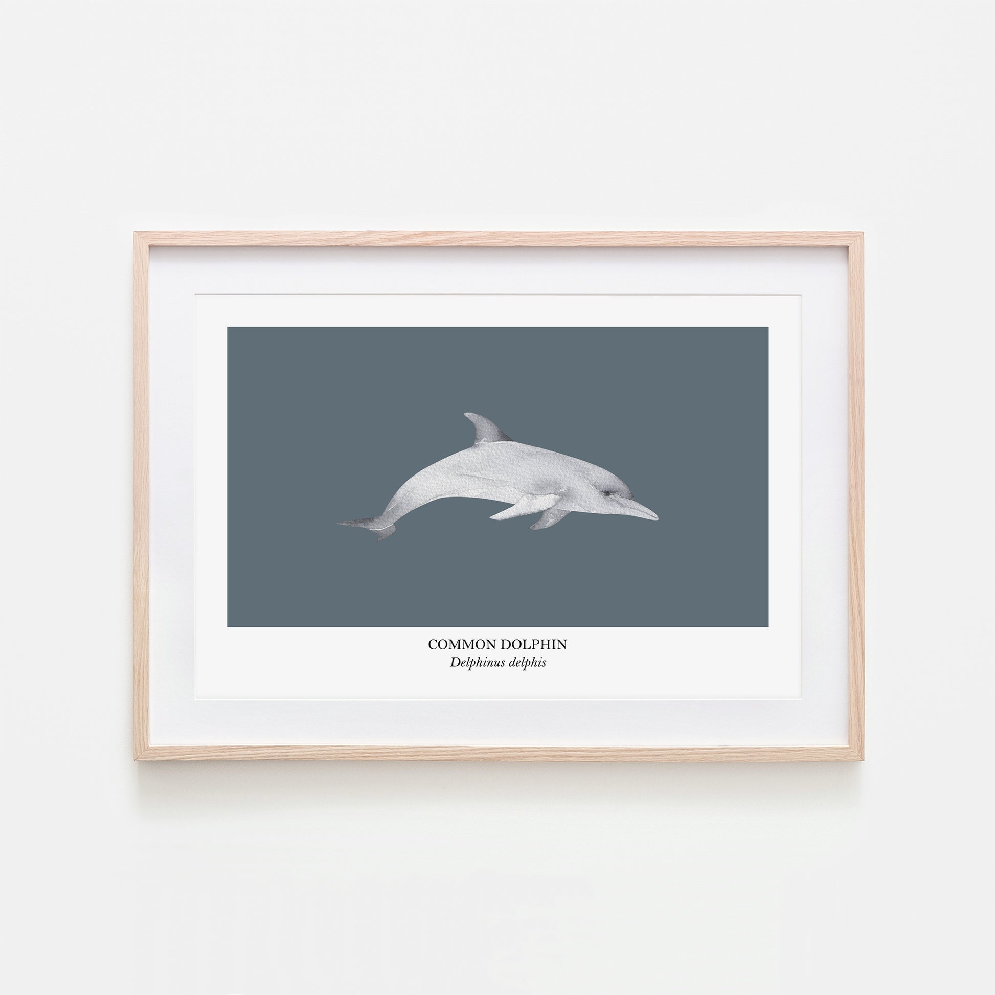 Dolphin-Watercolour-Sea-Creature-Wall-Art-in-Sky-Blue